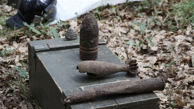 Pyrotechnici čistí Boří les od staré munice pocházející z konce druhé světové války. 