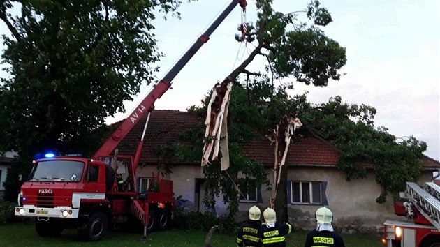 V Pikrci na rsku hasii odstraovali strom, kter spadl na dm. (21. 6. 2018)