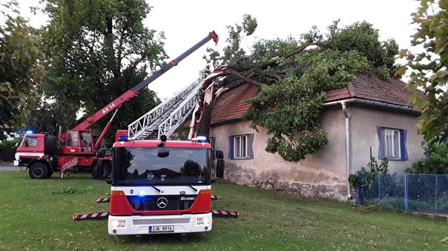 V Pikrci na rsku hasii odstraovali strom, kter spadl na dm. (21. 6. 2018)