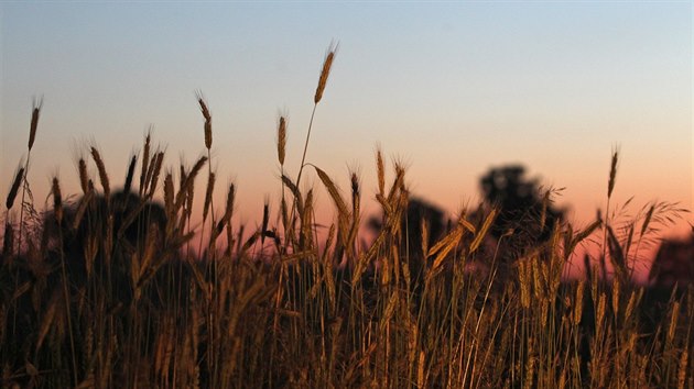 Letn slunovrat - nejkrat noc roku v krajin kolem Lipnice nad Szavou