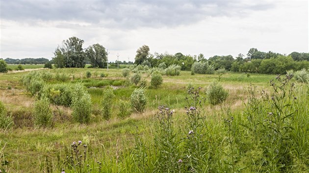 Tůně a mokřady, které díky spolupráci obce Čehovice s ekology nahradily horkem rozpukané pole.