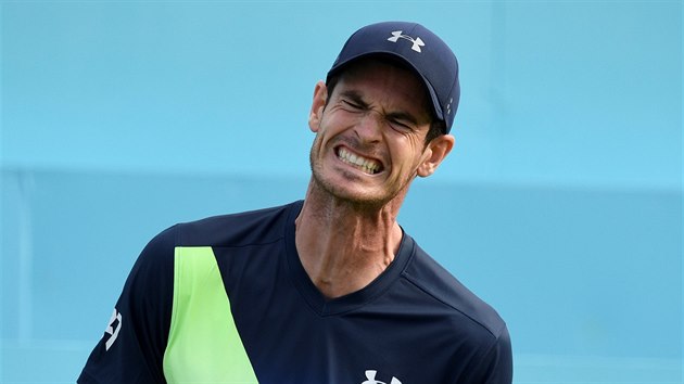 Andy Murray na turnaji v Queens Clubu v Londn