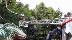 Hasii vyproovali mue zaseknutého na atrakci dinobike.