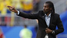 Senegalský kou� Aliou Cissé b�hem zápasu proti Kolumbii.