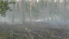 Hasiči ve čtvrtek pozdě odpoledne likvidovali požár lesa u Bzence na...