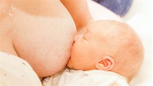 Těhotenské mýty: za velkou hlavu může pečivo