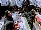 Pi sestelení íránského airbusu zahynulo 290 lidí