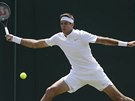 Argentinský tenista Juan Martín del Potro v 1. kole Wimbledonu.
