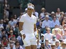 panl Rafael Nadal ve Wimbledonu.