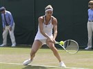 Italská tenistka Camila Giorgiová ve tetím kole Wimbledonu.