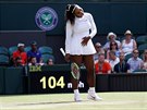 Serena Williamsová ve tetím kole Wimbledonu.