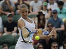 eská tenistka Karolína Plíková v osmifinále Wimbledonu.