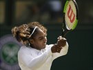 Serena Williamsová ve tvrtém kole Wimbledonu.