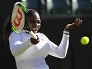 Sedminásobná šampionka zpět na místě činu. Serena Williamsová zahrává úder v...
