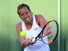 eská tenistka Barbora Strýcová hraje bekhendem v prvním kole Wimbledonu, v...