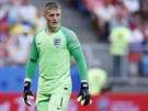 Anglický branká Jordan Pickford bhem tvrtfinále proti védsku