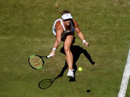 Nizozemka Kiki Bertensov porazila v 1. kole Wimbledonu eskou kvalifikantku...