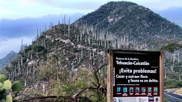 dol Tehuacn-Cuicatln v jinm Mexiku bylo nov zaazeno do seznamu UNESCO.