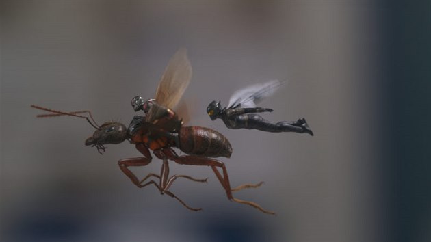 Záběr z filmu Ant-Man a Wasp