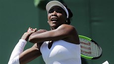 Americká tenistka Venus Williamsová v prvním kole Wimbledonu vyadila védku...