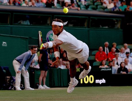 Tygí skok Rafaela Nadala ve tvrtfinále proti Juan Martínu Del Potrovi.