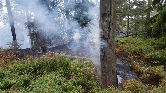 V Národním parku České Švýcarsko vypukl požár. Na místě zasahoval hasičský...