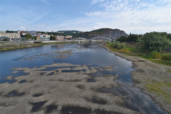 Vyschlé Labe v Ústí nad Labem. V korytu eky hrají dti a lidé vení psy.