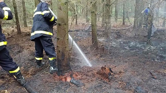 K požáru lesa do Semína vyjížděli hasiči naposledy 9. července. Sérií požárů na...
