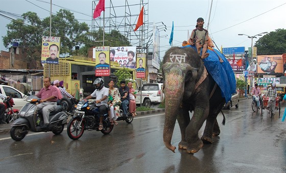 Doprava pro otrlé: krom bných dopravních prostedk musíte v Indii poítat i...