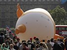 Nafukovací balón v podob amerického  prezidenta Donalda Trumpa se má vznáet...