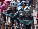 Peloton bhem deváté etapy Tour de France.