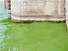 V Brnnské pehrad kvli zelené vod plné sinic hygienici zakázali po deseti...