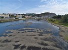 Vyschlé Labe v Ústí nad Labem. V korytu eky hrají dti a lidé vení psy.