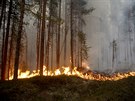 Poáry u obce Ljusdal (15. ervence 2018)