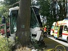 U Hraniních Petrovic na Olomoucku narazil linkový autobus do stromu. Zranilo...