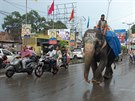 Doprava pro otrlé: krom bných dopravních prostedk musíte v Indii poítat i...