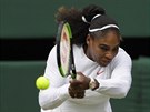 Sedminásobná wimbledonská ampionka Serena Williamsová prohrála ve tvrtfinále...