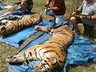 Ze zásahu veteriná a policie v bioparku (16. 7. 2018)