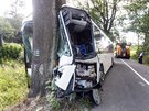 U Hraniních Petrovic na Olomoucku narazil linkový autobus do stromu. Zranilo...