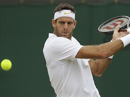 Argentinsk tenista Juan Martn del Potro si chyst bekhendov der v...