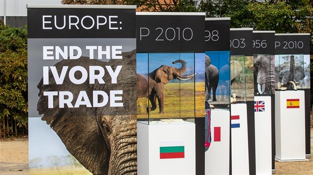 Zstupci organizace Avaaz se setkali s evropskm komisaem Karmenu Vellou, aby projednali prlomovou zprvu o nezkonn slonovin prodan v EU. (10. ervence 2018)
