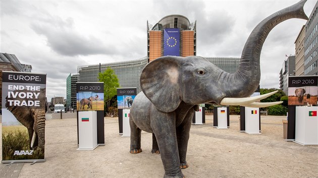 Zstupci organizace Avaaz se setkali s evropskm komisaem Karmenu Vellou, aby projednali prlomovou zprvu o nezkonn slonovin prodan v EU. (10. ervence 2018)
