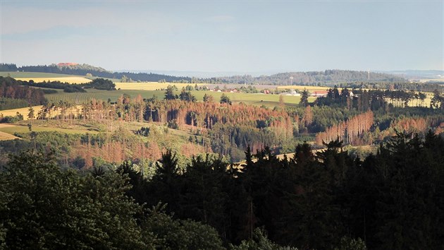 Pohled na les v okol Pokojovic na Tebsku