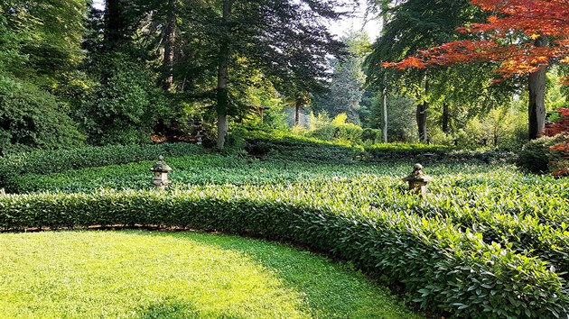 Dky uniktnmu mikroklimatu se vjinm vcarsku podailo vypstovat ajovou plant.