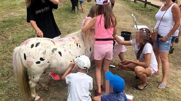 Při rodinném festivalu Blue Style Prima Fest v Šiklandu ve Zvoli u Penštejna mohly děti malovat na živého poníka. Ochránci upozorňují, že se mohlo jednat o týrání zvířete.