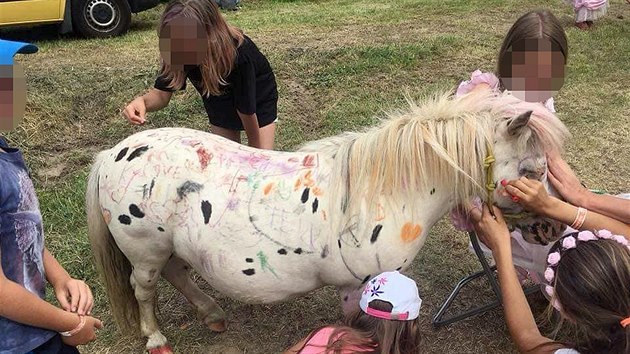 Při rodinném festivalu Blue Style Prima Fest v Šiklandu ve Zvoli u Penštejna mohly děti malovat na živého poníka. Ochránci upozorňují, že se mohlo jednat o týrání zvířete.