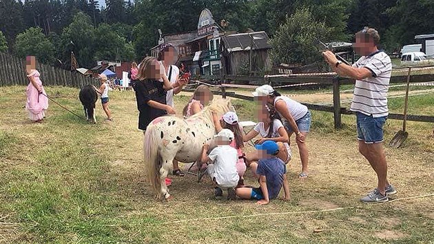 Pi rodinnm festivalu Blue Style Prima Fest v iklandu ve Zvoli u Pentejna mohly dti malovat na ivho ponka. Ochrnci upozoruj, e se mohlo jednat o trn zvete.