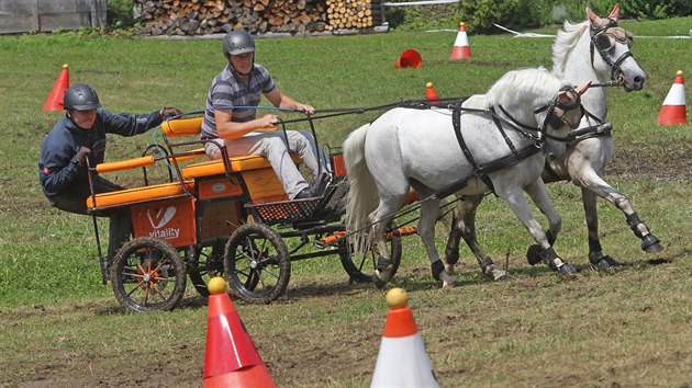 V Doln Lomn na Jablunkovsku se utkali nejlep vozatajov. Aby byla jejich jzda co nejlep, vyaduje to od nich i od kon mnoho dovednost.(14. ervence 2018)