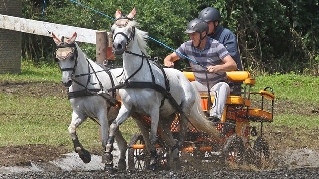 V Doln Lomn na Jablunkovsku se utkali nejlep vozatajov. Aby byla jejich jzda co nejlep, vyaduje to od nich i od kon mnoho dovednost.(14. ervence 2018)