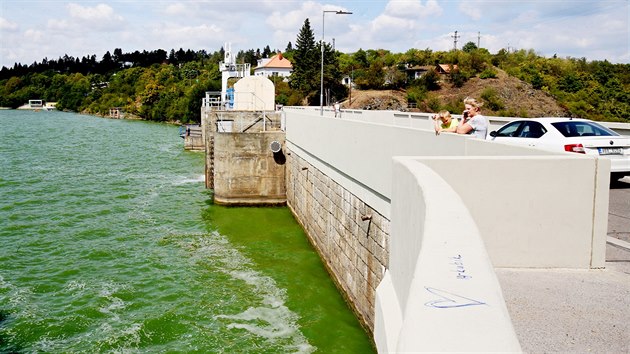 V Brnnsk pehrad kvli zelen vod pln sinic hygienici zakzali po deseti letech koupn.